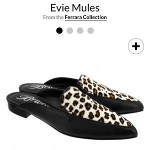 Brighton Winter Leopard Evie Mules - Size 8